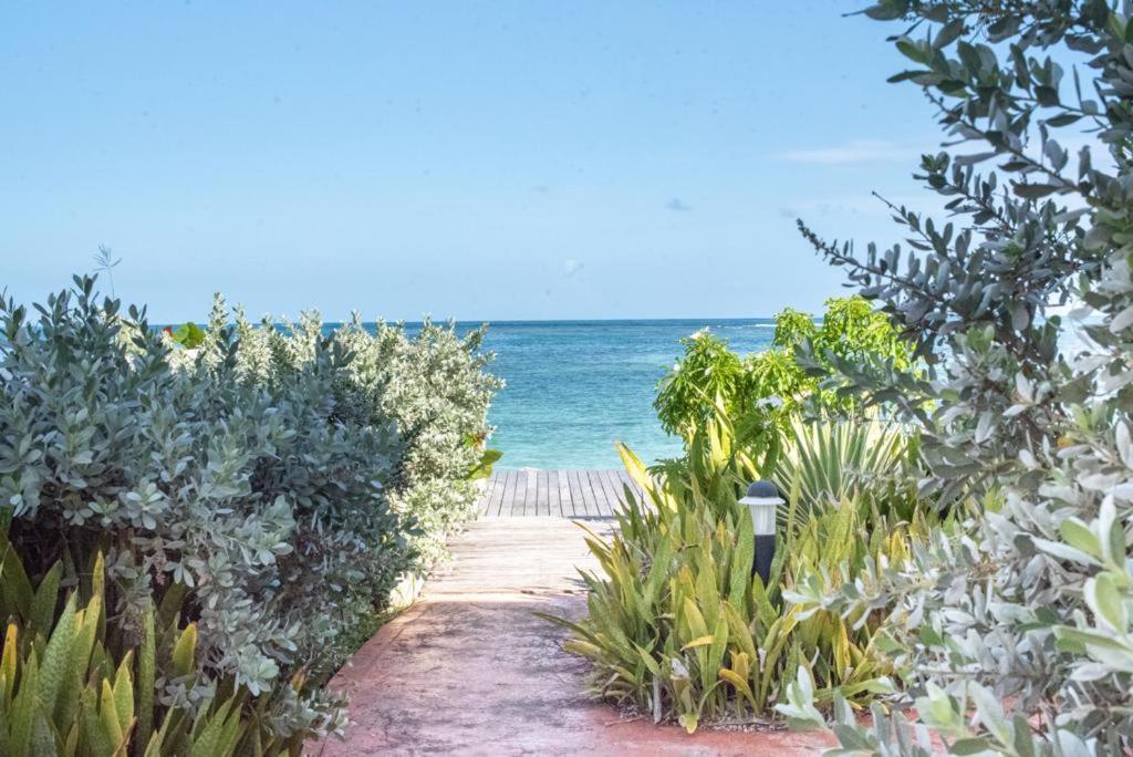 Apartmán Pasha - Ocean View Sainte-Anne  Exteriér fotografie