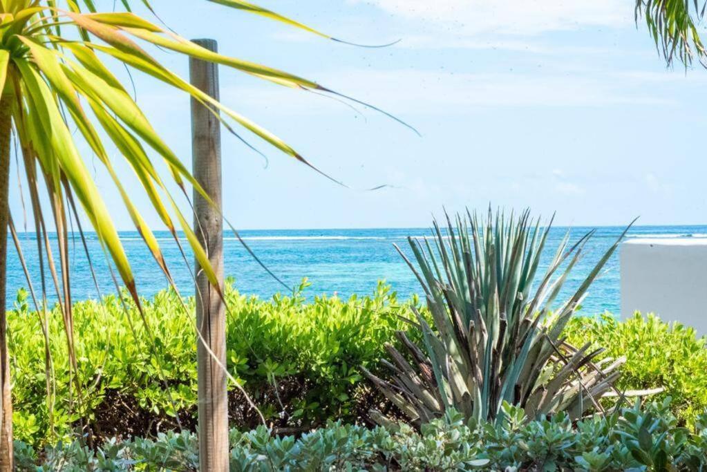 Apartmán Pasha - Ocean View Sainte-Anne  Exteriér fotografie