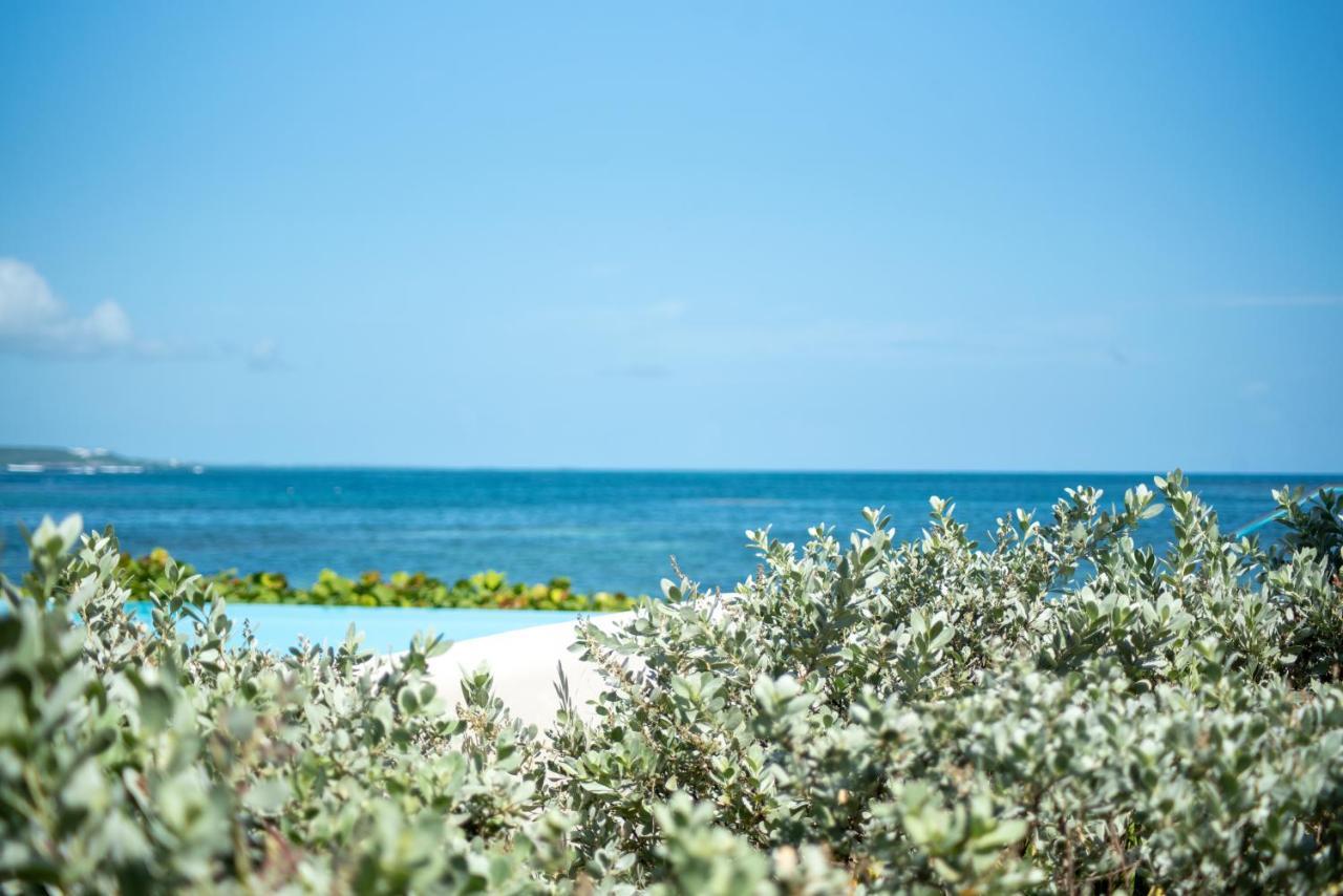 Apartmán Pasha - Ocean View Sainte-Anne  Exteriér fotografie